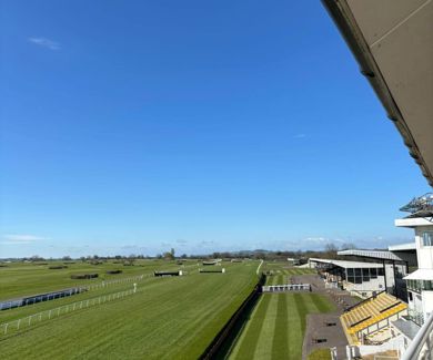 Racecourse View